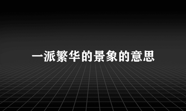 一派繁华的景象的意思