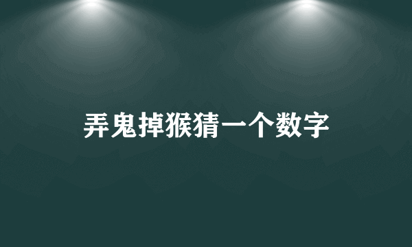 弄鬼掉猴猜一个数字