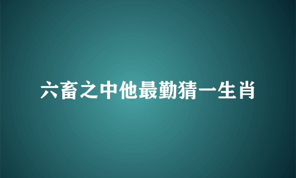 六畜之中他最勤猜一生肖