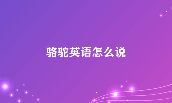 骆驼英语怎么说