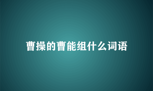 曹操的曹能组什么词语