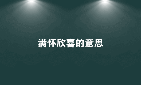 满怀欣喜的意思