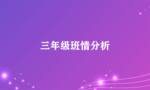 三年级班情分析