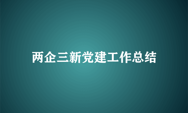 两企三新党建工作总结