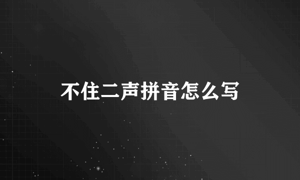 不住二声拼音怎么写