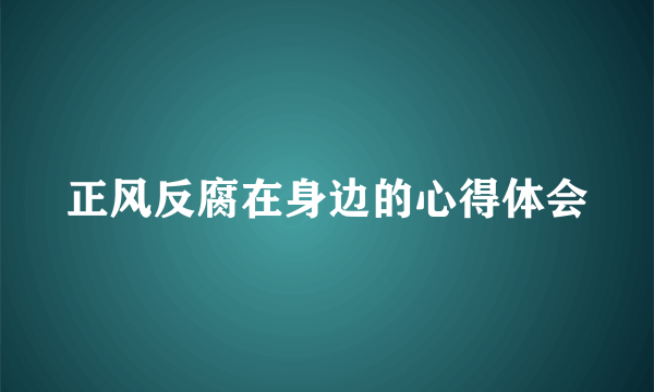 正风反腐在身边的心得体会