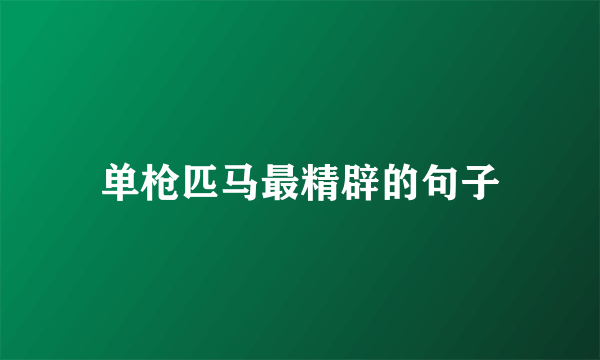 单枪匹马最精辟的句子