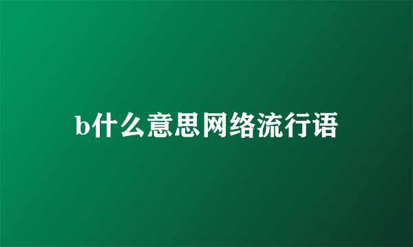 b什么意思网络流行语