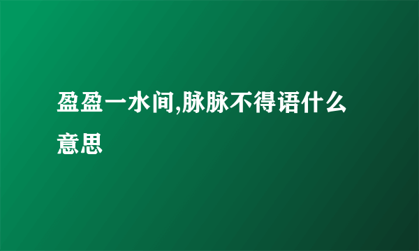 盈盈一水间,脉脉不得语什么意思