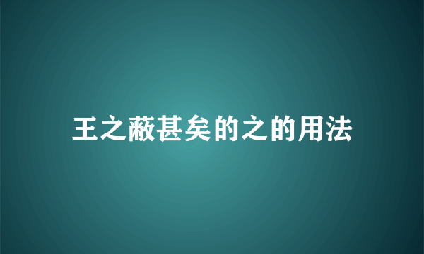 王之蔽甚矣的之的用法