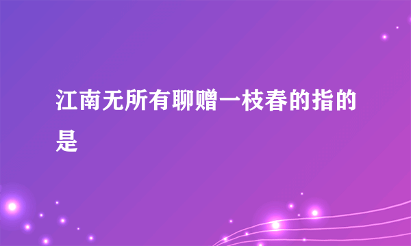 江南无所有聊赠一枝春的指的是