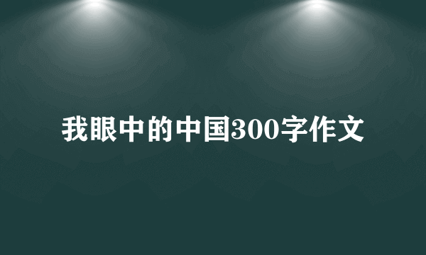 我眼中的中国300字作文