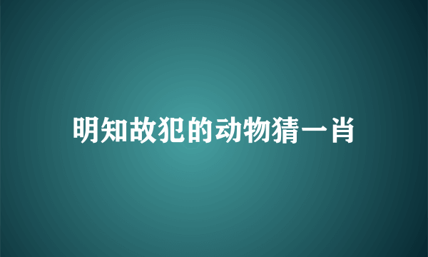 明知故犯的动物猜一肖