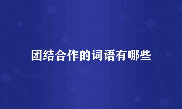 团结合作的词语有哪些