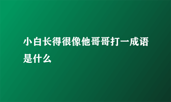 小白长得很像他哥哥打一成语是什么