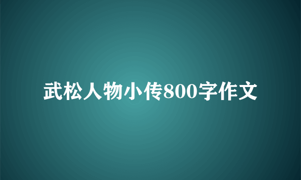 武松人物小传800字作文