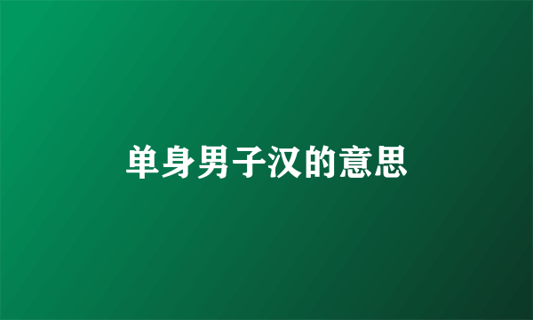 单身男子汉的意思