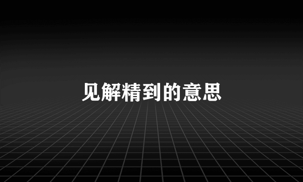 见解精到的意思