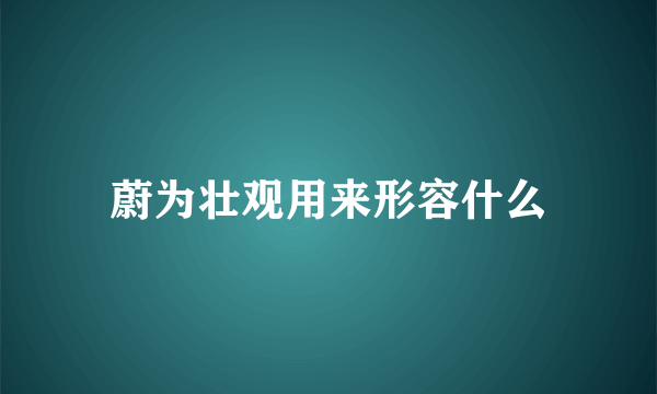 蔚为壮观用来形容什么