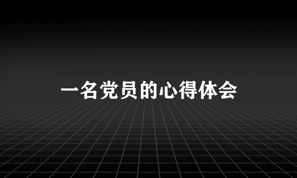 一名党员的心得体会
