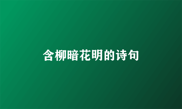 含柳暗花明的诗句