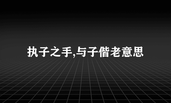 执子之手,与子偕老意思