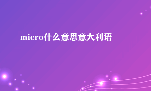 micro什么意思意大利语