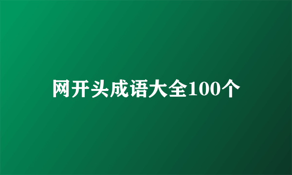 网开头成语大全100个