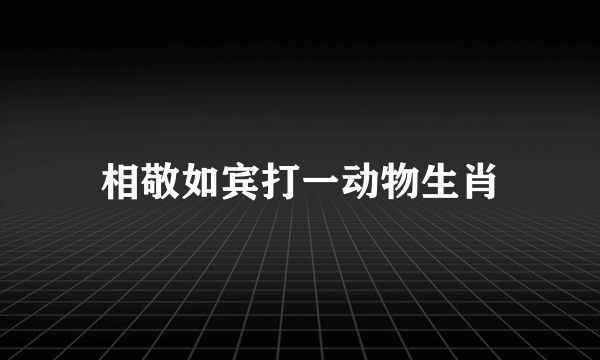 相敬如宾打一动物生肖