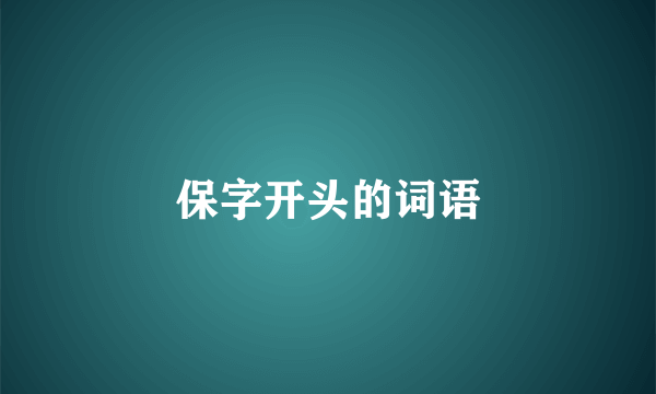 保字开头的词语