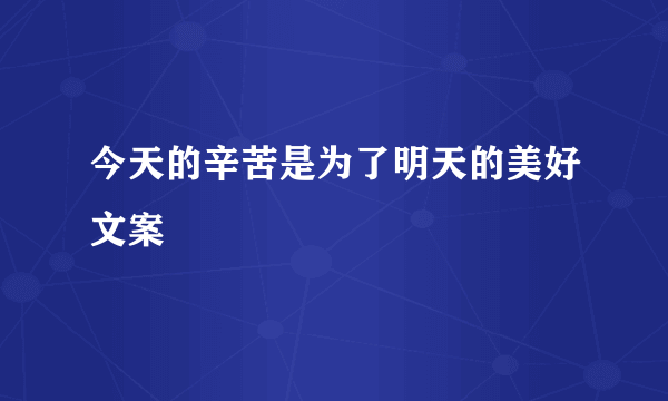 今天的辛苦是为了明天的美好文案