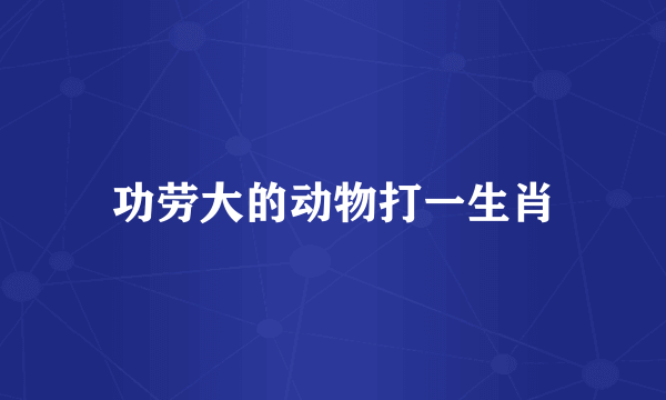 功劳大的动物打一生肖