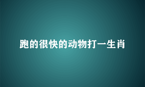 跑的很快的动物打一生肖