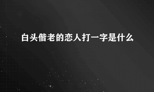 白头偕老的恋人打一字是什么