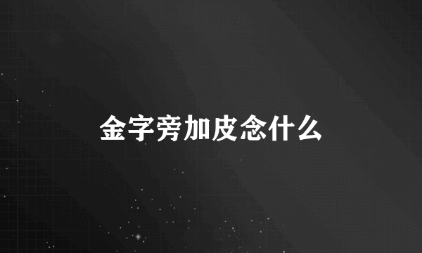 金字旁加皮念什么
