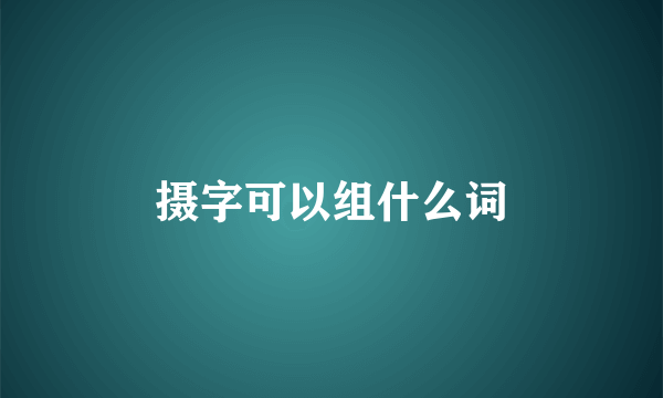 摄字可以组什么词
