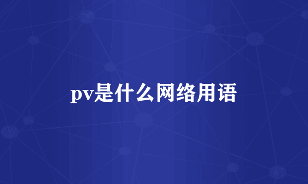 pv是什么网络用语