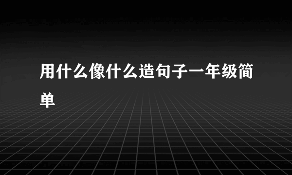 用什么像什么造句子一年级简单