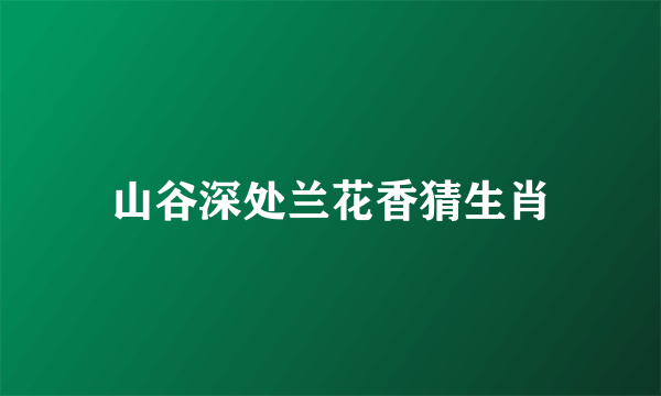 山谷深处兰花香猜生肖