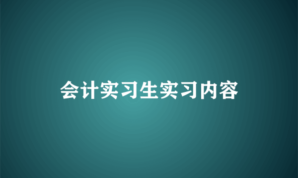 会计实习生实习内容