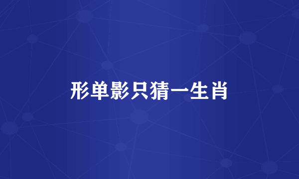 形单影只猜一生肖