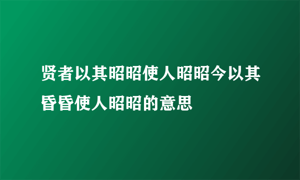 贤者以其昭昭使人昭昭今以其昏昏使人昭昭的意思