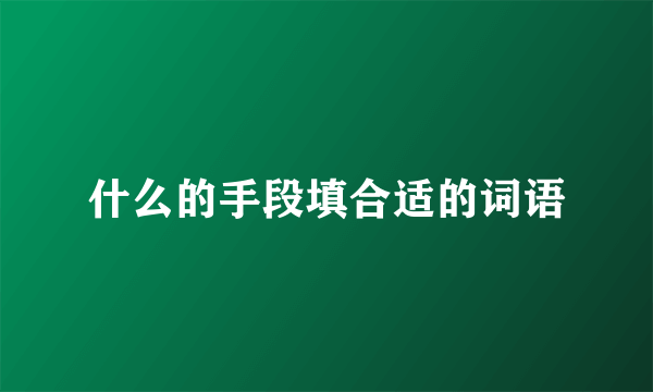 什么的手段填合适的词语