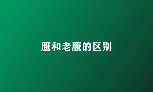 鹰和老鹰的区别