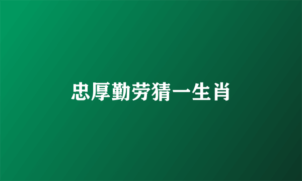 忠厚勤劳猜一生肖