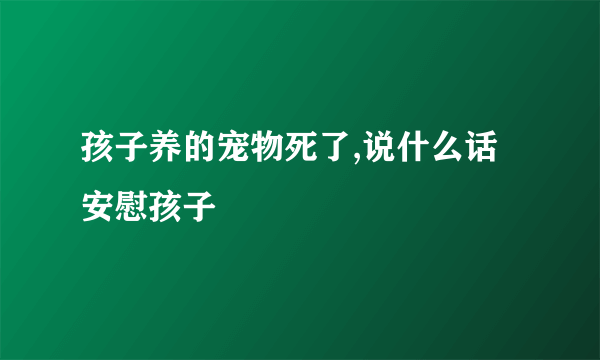 孩子养的宠物死了,说什么话安慰孩子