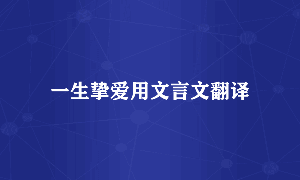 一生挚爱用文言文翻译
