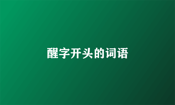 醒字开头的词语