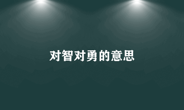 对智对勇的意思