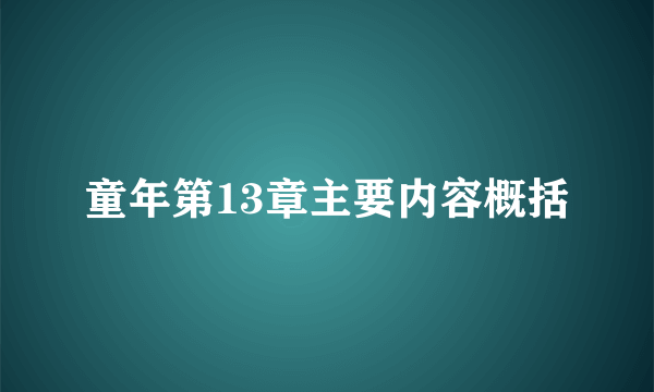 童年第13章主要内容概括